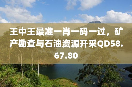 王中王最準(zhǔn)一肖一碼一過，礦產(chǎn)勘查與石油資源開采QD58.67.80