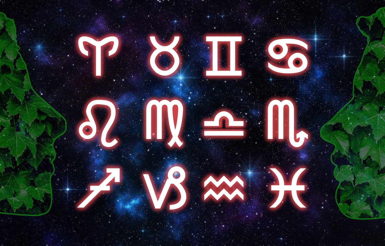 2024新澳門今天晚上開什么生肖,精準(zhǔn)洞察與實(shí)戰(zhàn)應(yīng)用，時(shí)尚系列DX9146.5345