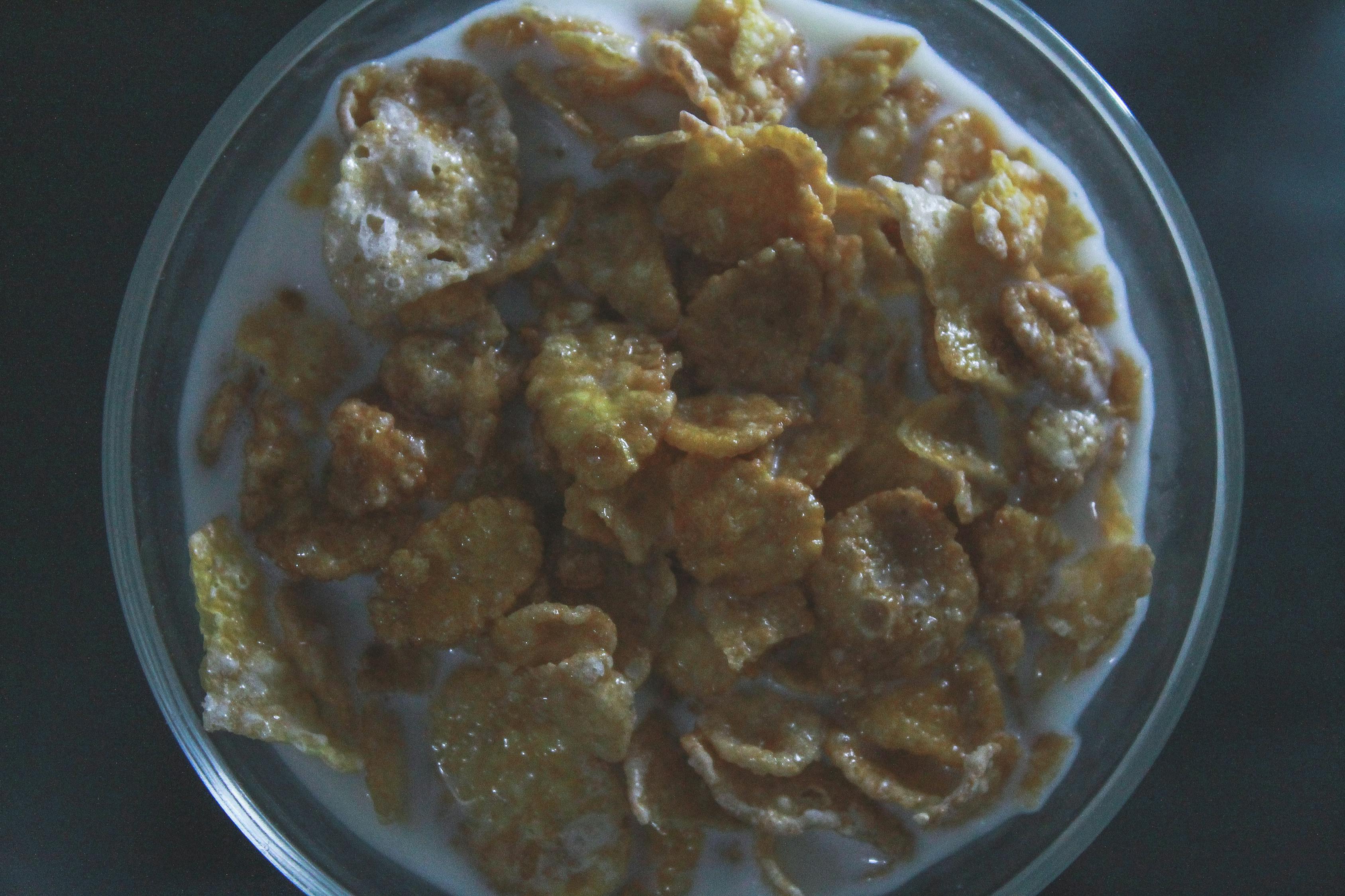最新簡單美食制作技巧，家常菜肴輕松上手