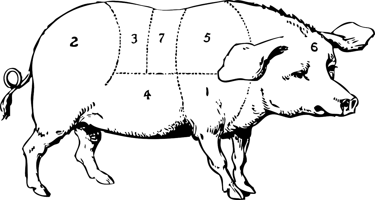 凍肉進(jìn)口最新動態(tài)，市場趨勢、政策調(diào)整與產(chǎn)業(yè)動態(tài)深度解析