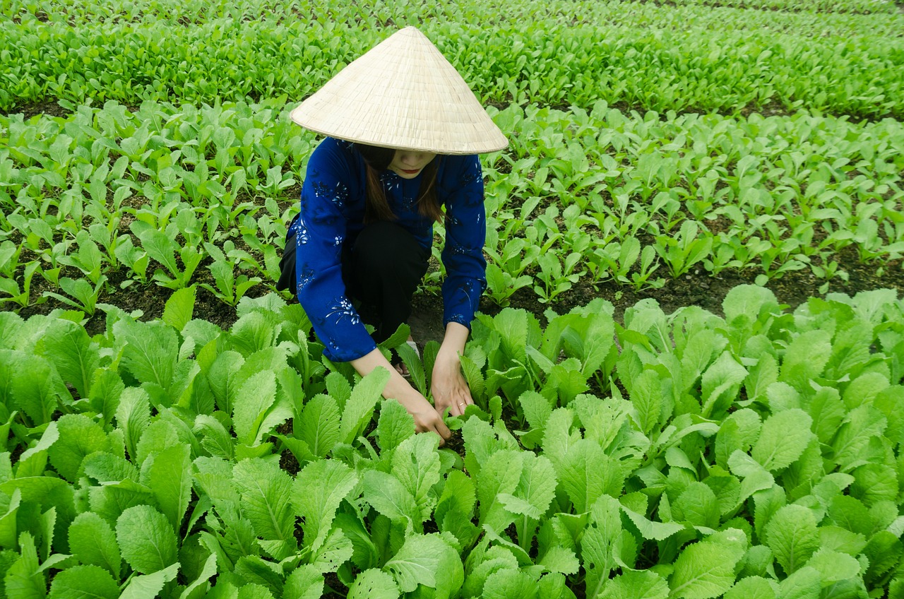 衢州最新發(fā)展動態(tài)速遞
