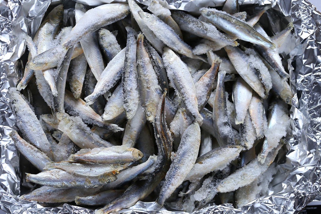 探尋魚(yú)新鮮奧秘，如何確保魚(yú)的新鮮度？