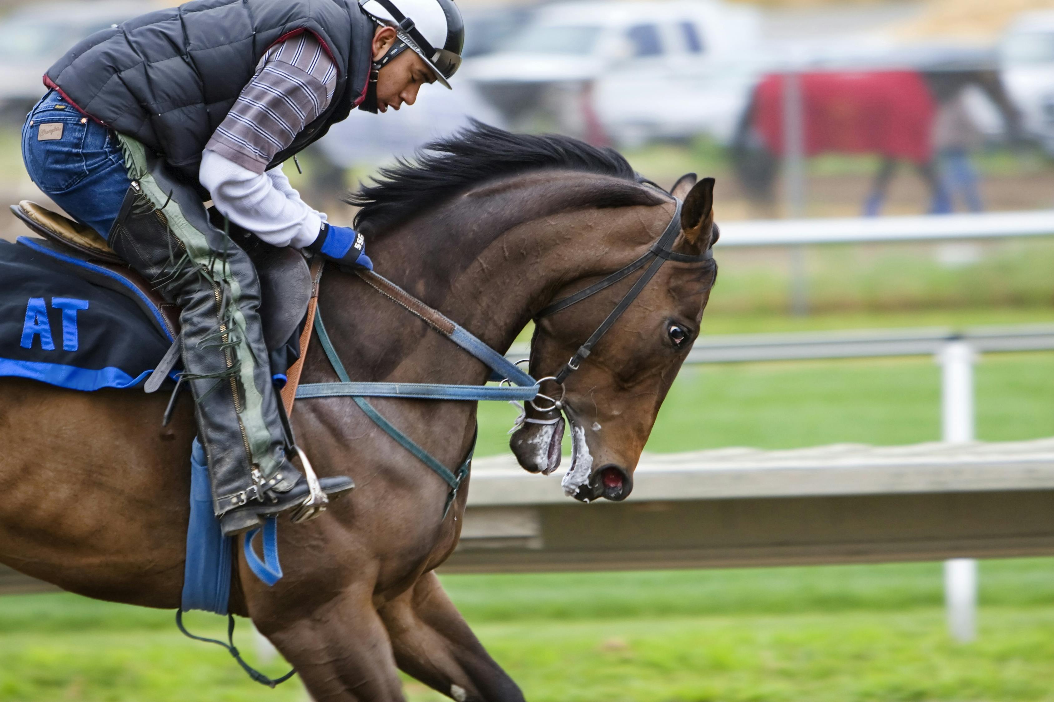 2024澳門特馬今晚開獎一：38-47-7-3-30-21T：21