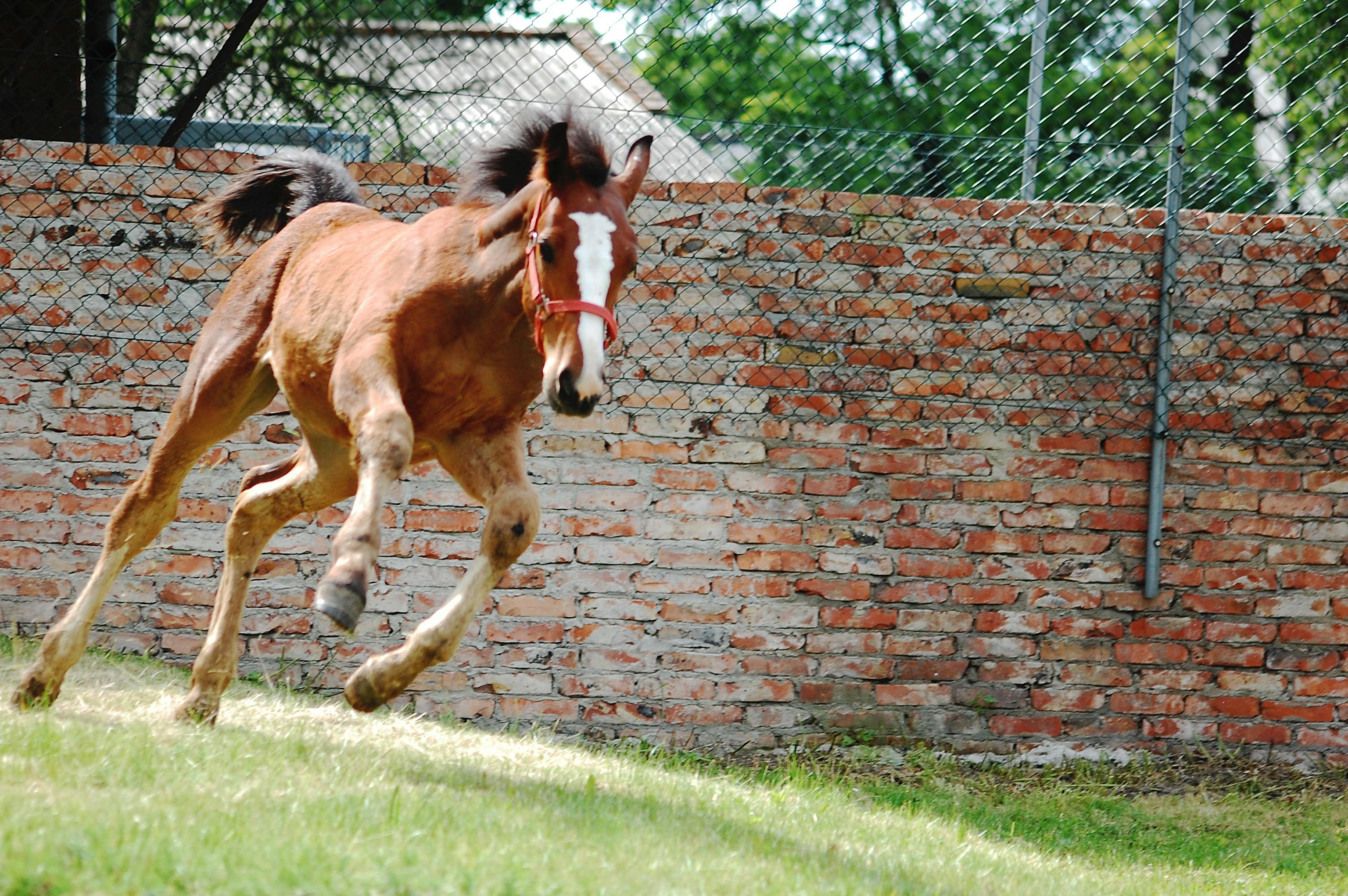 2024澳門特馬今晚開(kāi)獎(jiǎng)53期：36-15-31-27-27-19特：30