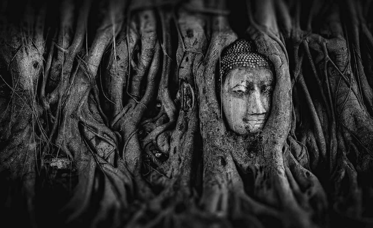 探尋神秘力量的奇幻之旅，神祗禹?xiàng)髯钚抡鹿?jié)
