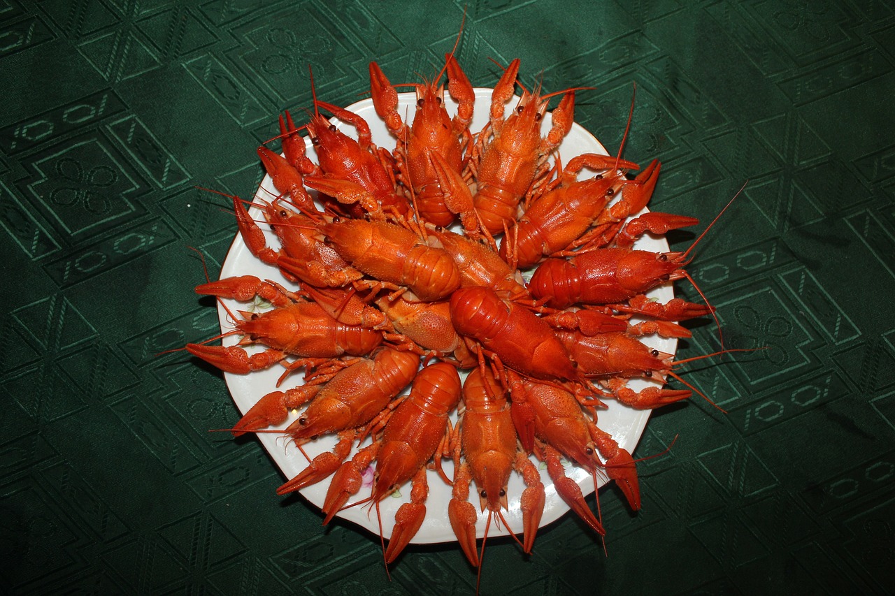 小龍蝦今日價(jià)格動(dòng)態(tài)更新，市場(chǎng)分析與最新行情報(bào)告