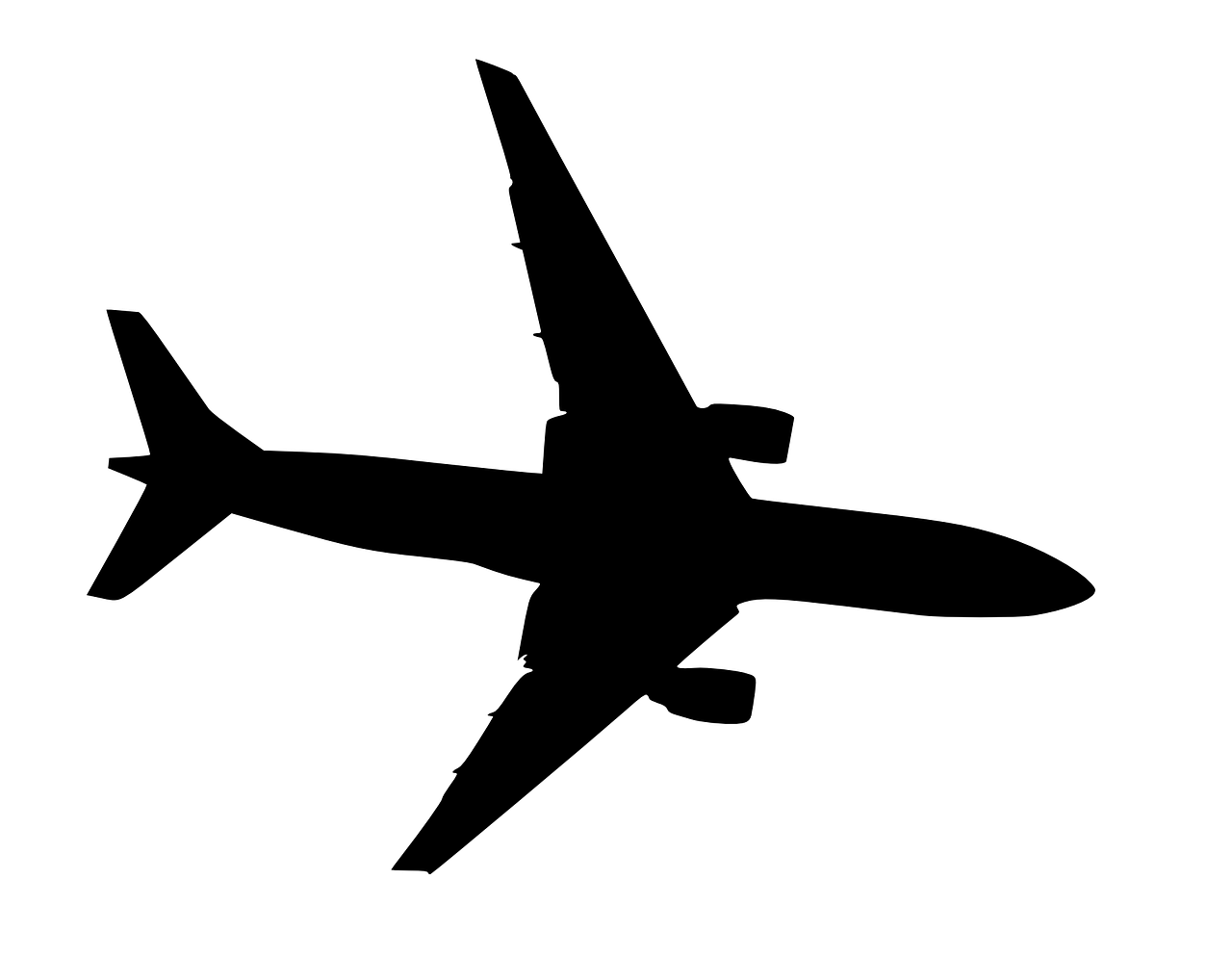 信航最新動(dòng)態(tài)，引領(lǐng)航空業(yè)邁向新篇章