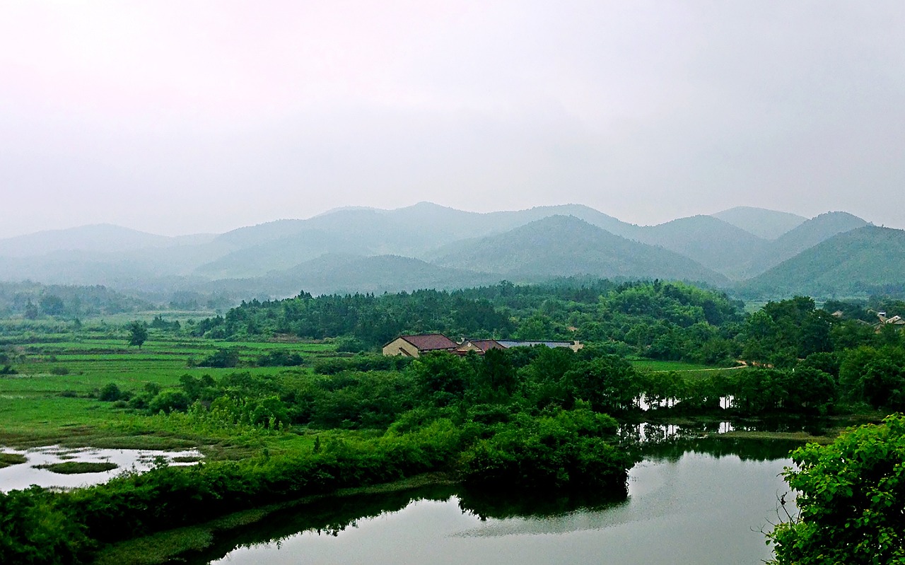 陰陽(yáng)師花合戰(zhàn)全新篇章熱血開(kāi)啟，最新動(dòng)態(tài)與進(jìn)展