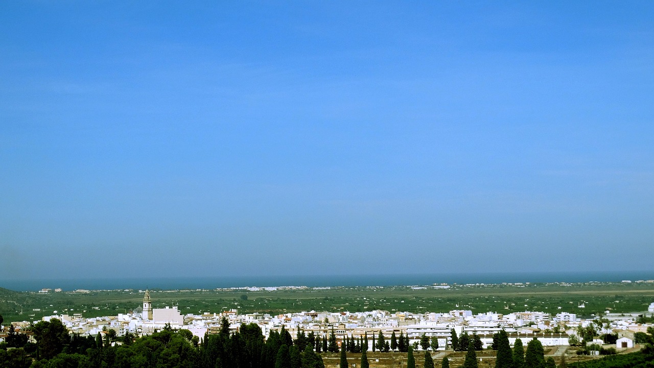 青州大姜最新價格動態(tài)與市場分析概覽