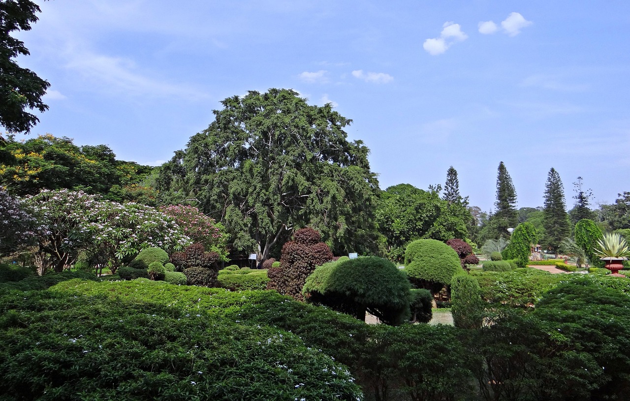 鎮(zhèn)平縣遮山鎮(zhèn)，蓬勃發(fā)展中的魅力小鎮(zhèn)新貌