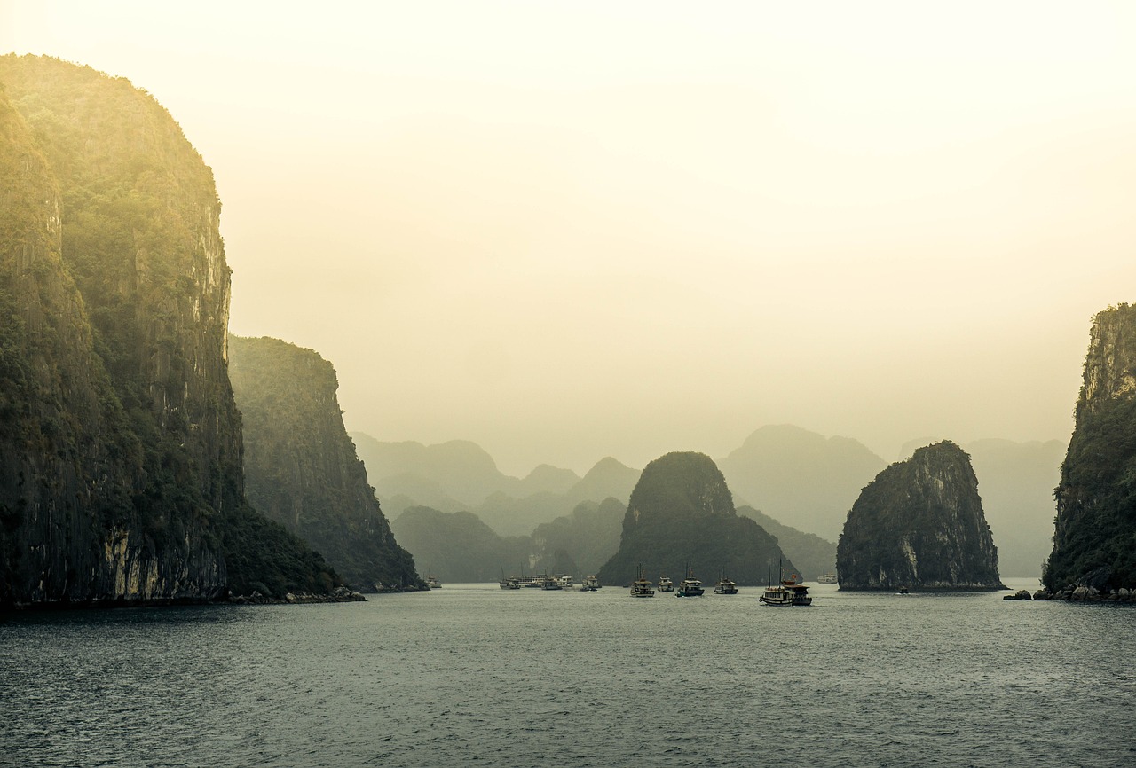 花火最新動(dòng)態(tài)，璀璨引領(lǐng)潮流新動(dòng)向
