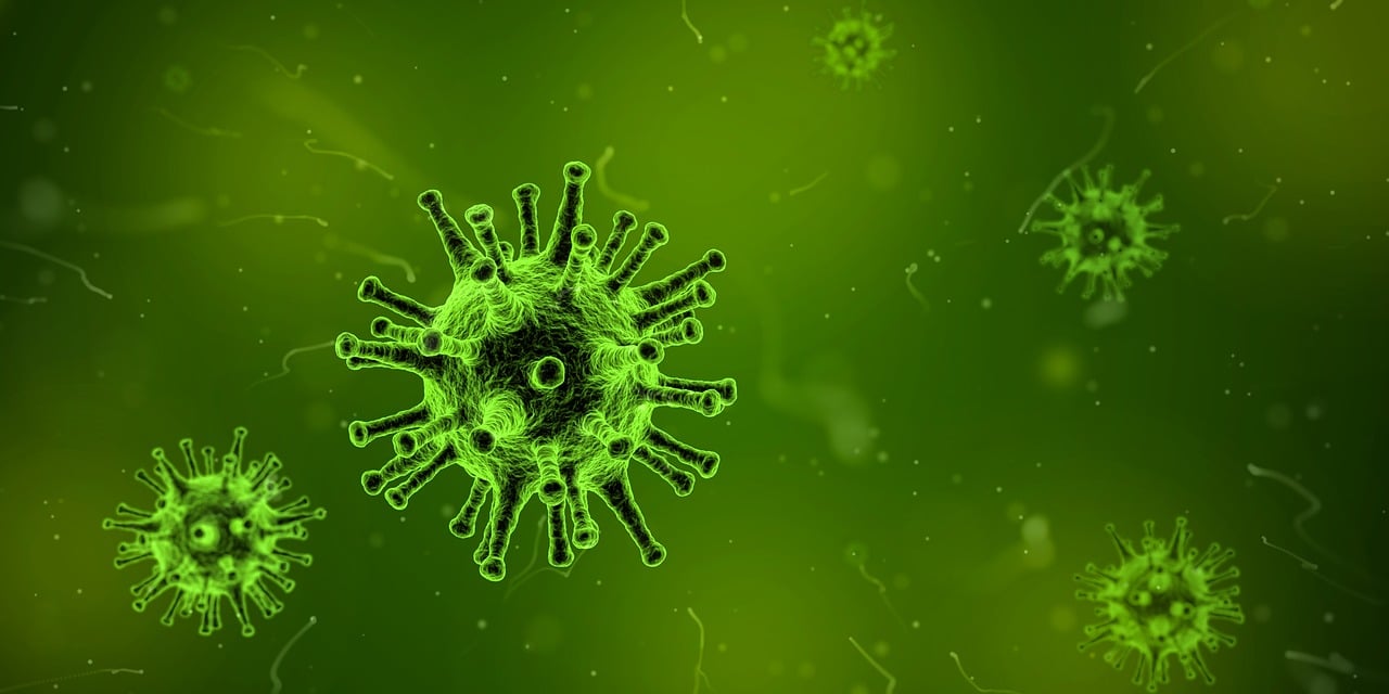 新冠新病毒最新癥狀研究，癥狀解析與應(yīng)對(duì)策略探索