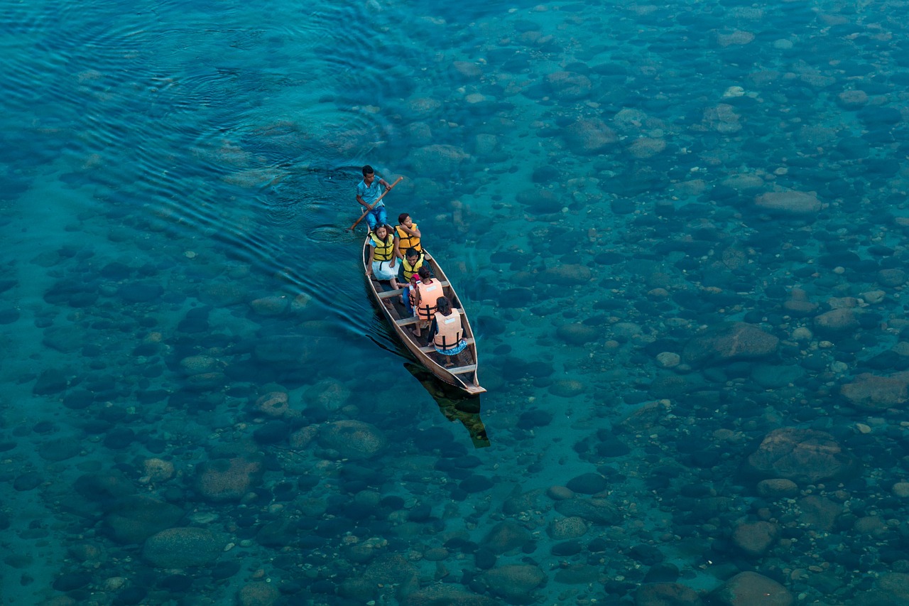 最新版富魚仔，海洋新寵的探索之旅