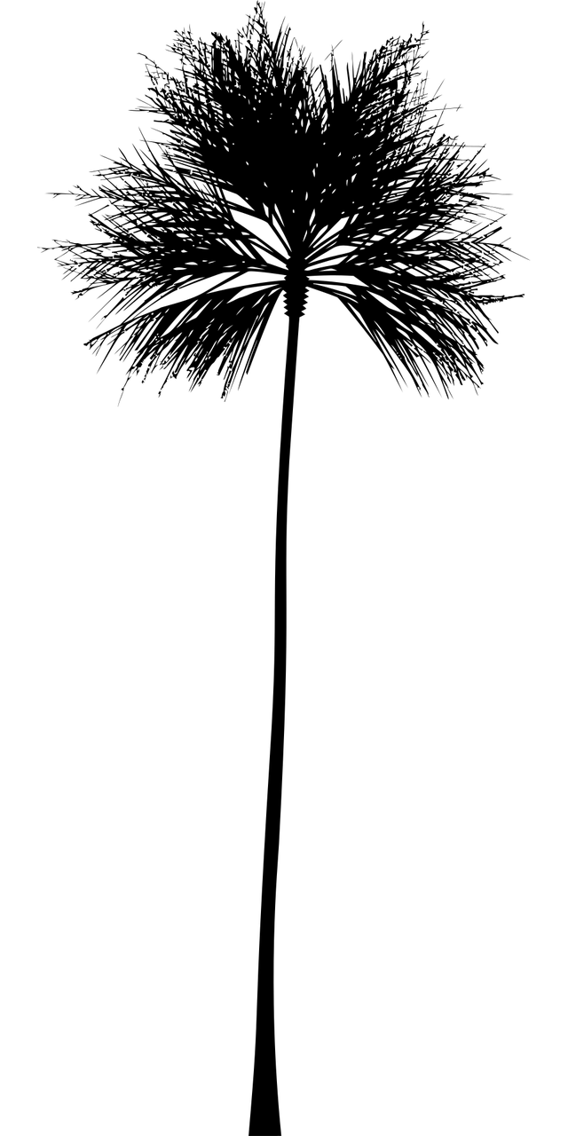 趣樹引領數字生態(tài)新篇章的最新動態(tài)