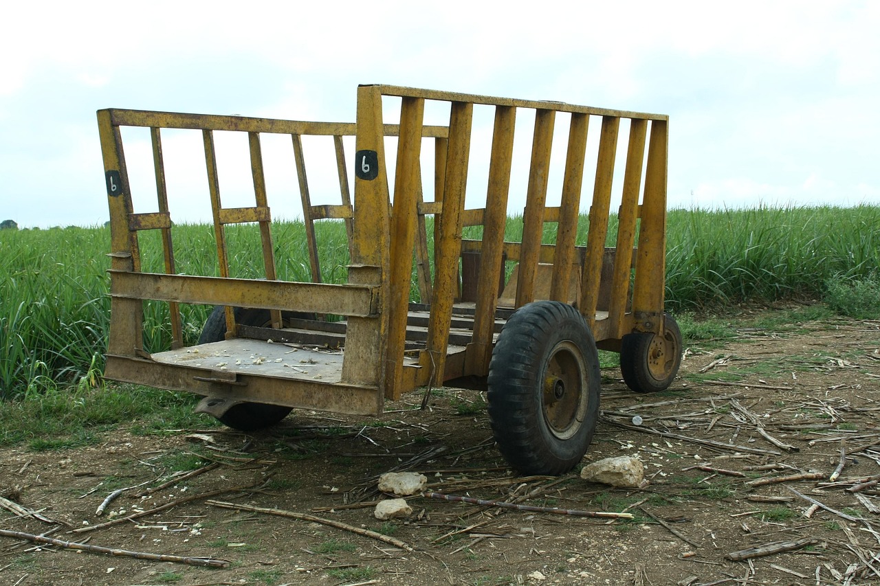 最新款兒童小推車，全新移動(dòng)體驗(yàn)，為孩子量身打造