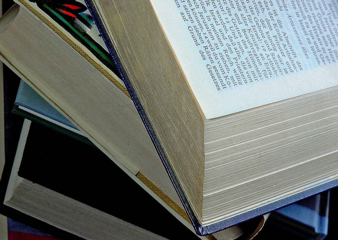 探索八上英語新版課本的魅力，最新英語教科書解析