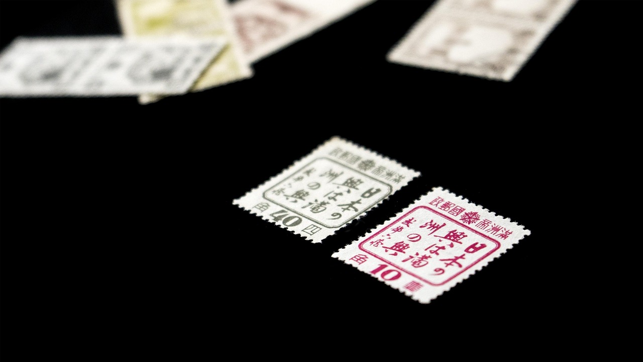 雙色球最新曬票單式，探索彩票文化的新風(fēng)尚