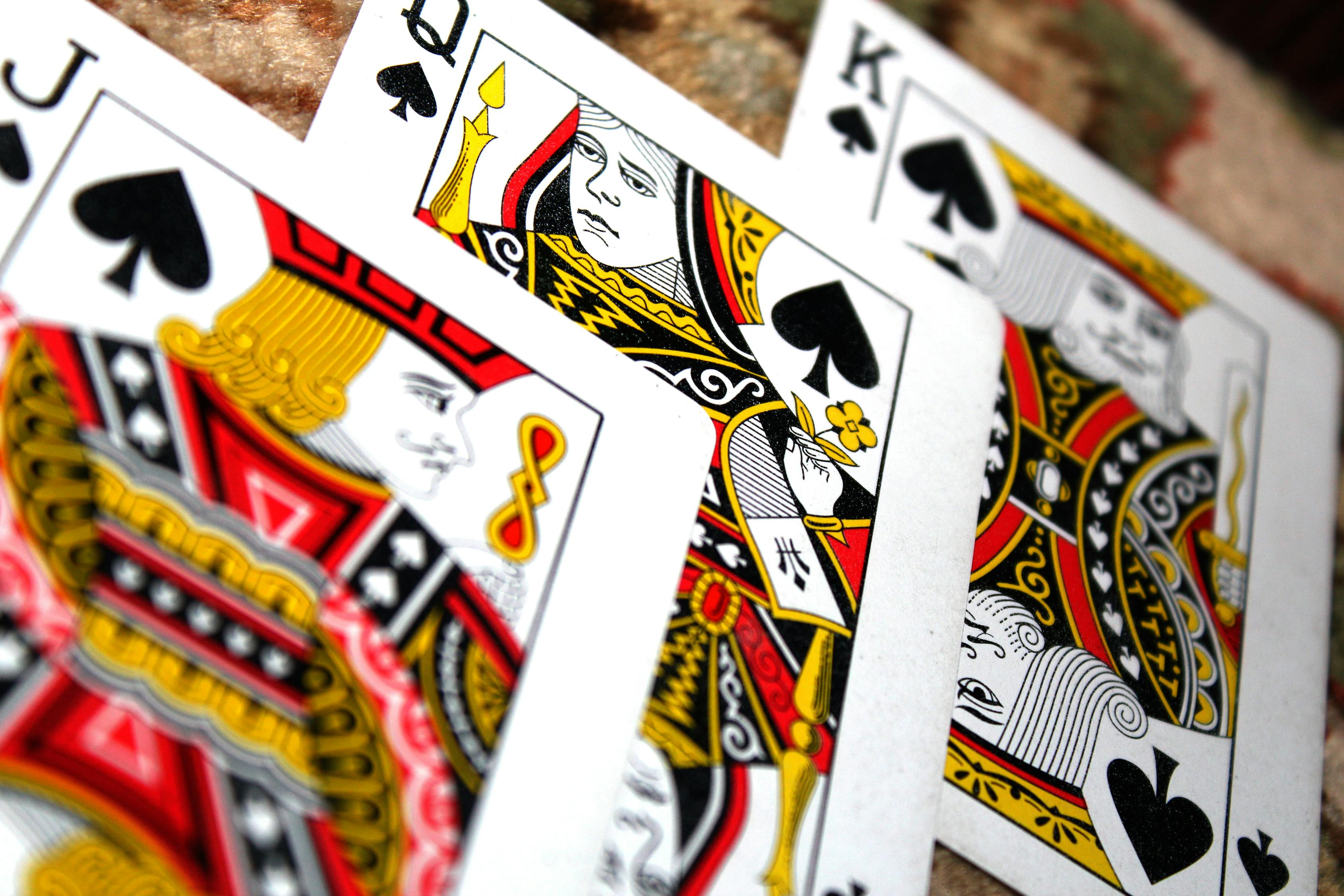 摜蛋最新版下載攻略及游戲魅力體驗