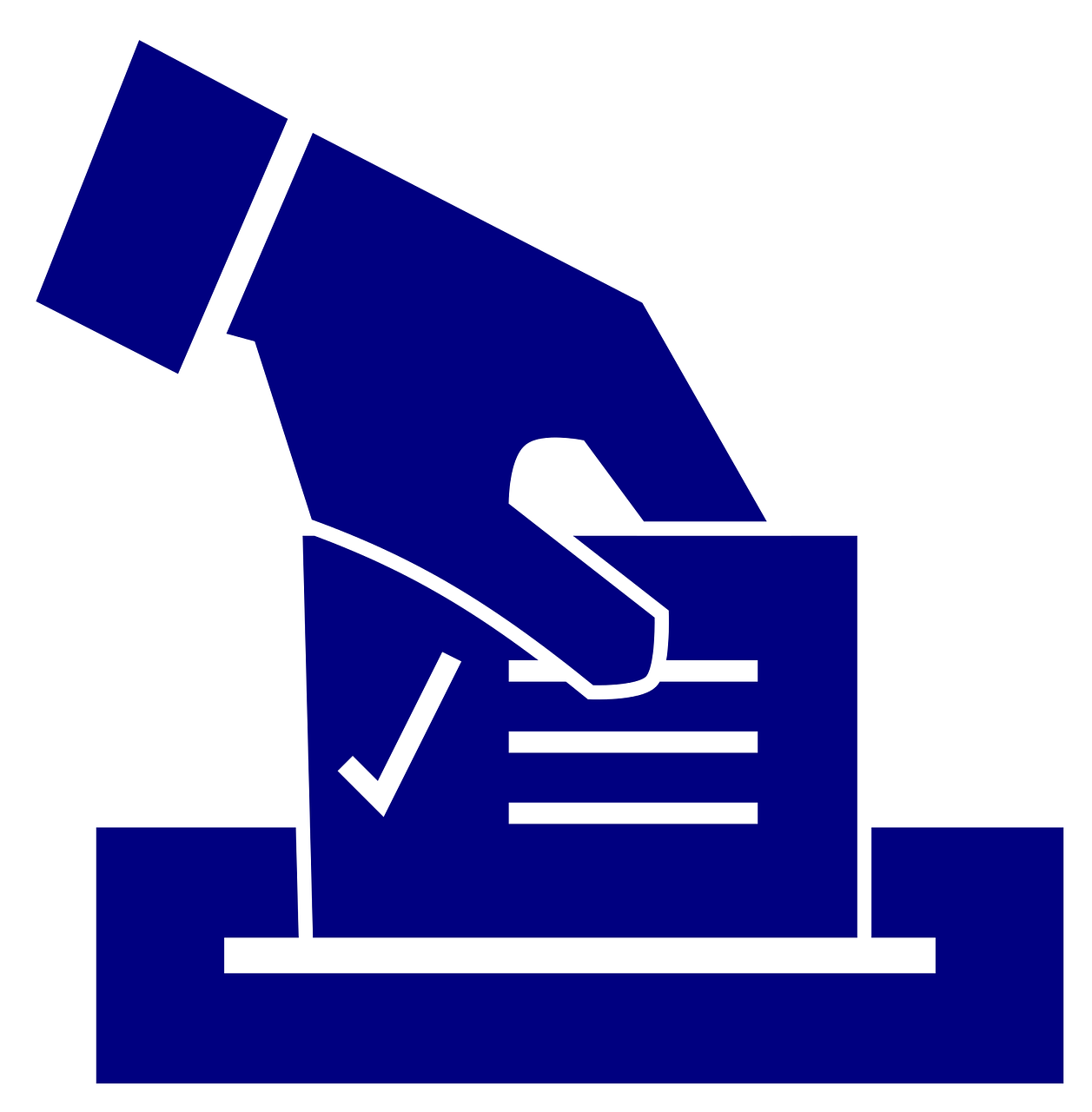 美國大選最新選況，投票到計票的緊張角逐過程