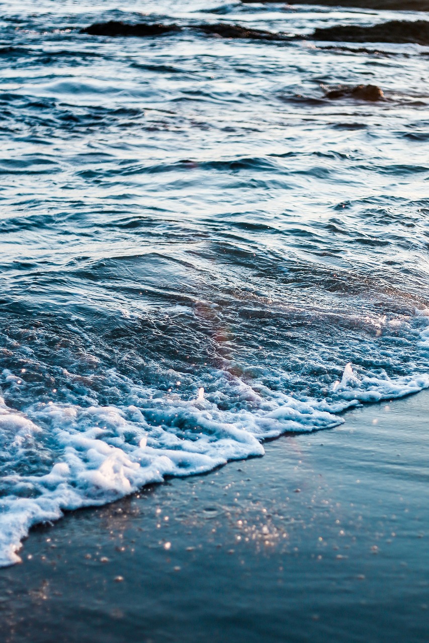 捕魚(yú)最新手機(jī)版，海洋捕魚(yú)無(wú)限魅力體驗(yàn)
