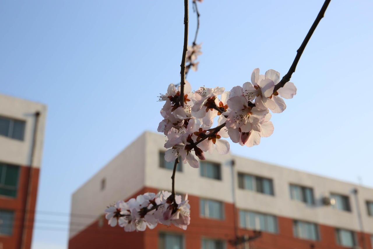 北京豐臺區(qū)最新疫情分布概況及最新動態(tài)更新