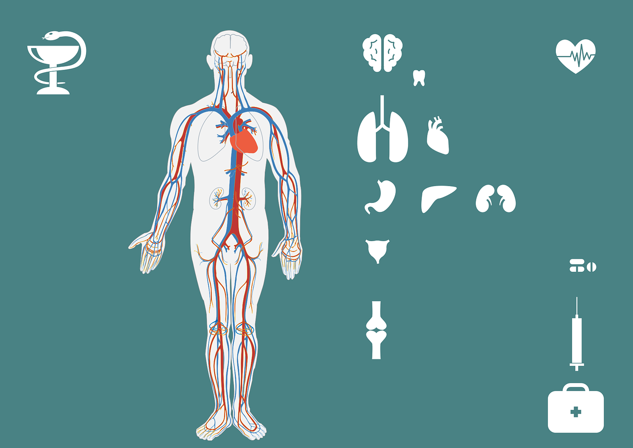 內(nèi)蒙古疫情最新狀況分析報告概覽