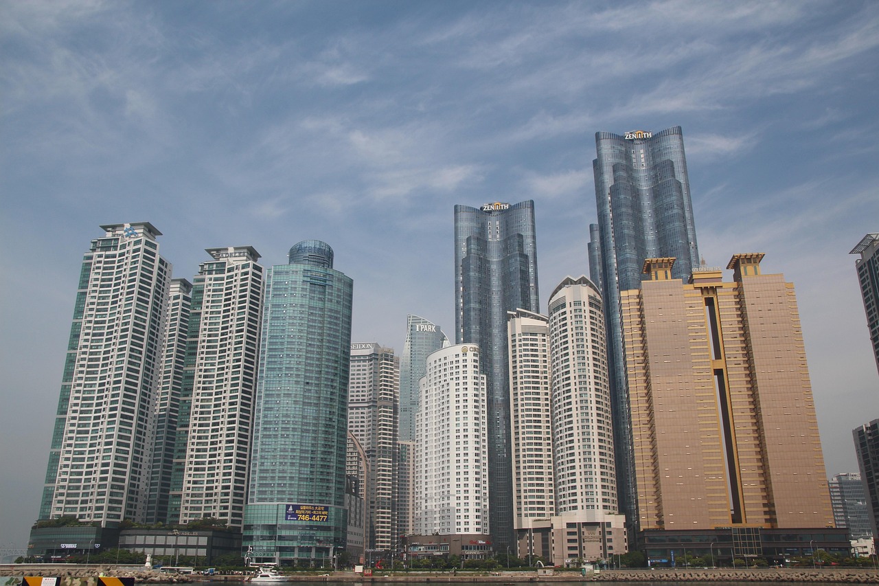 海南免稅自貿(mào)港最新情報(bào)解析，最新信息匯總與解讀