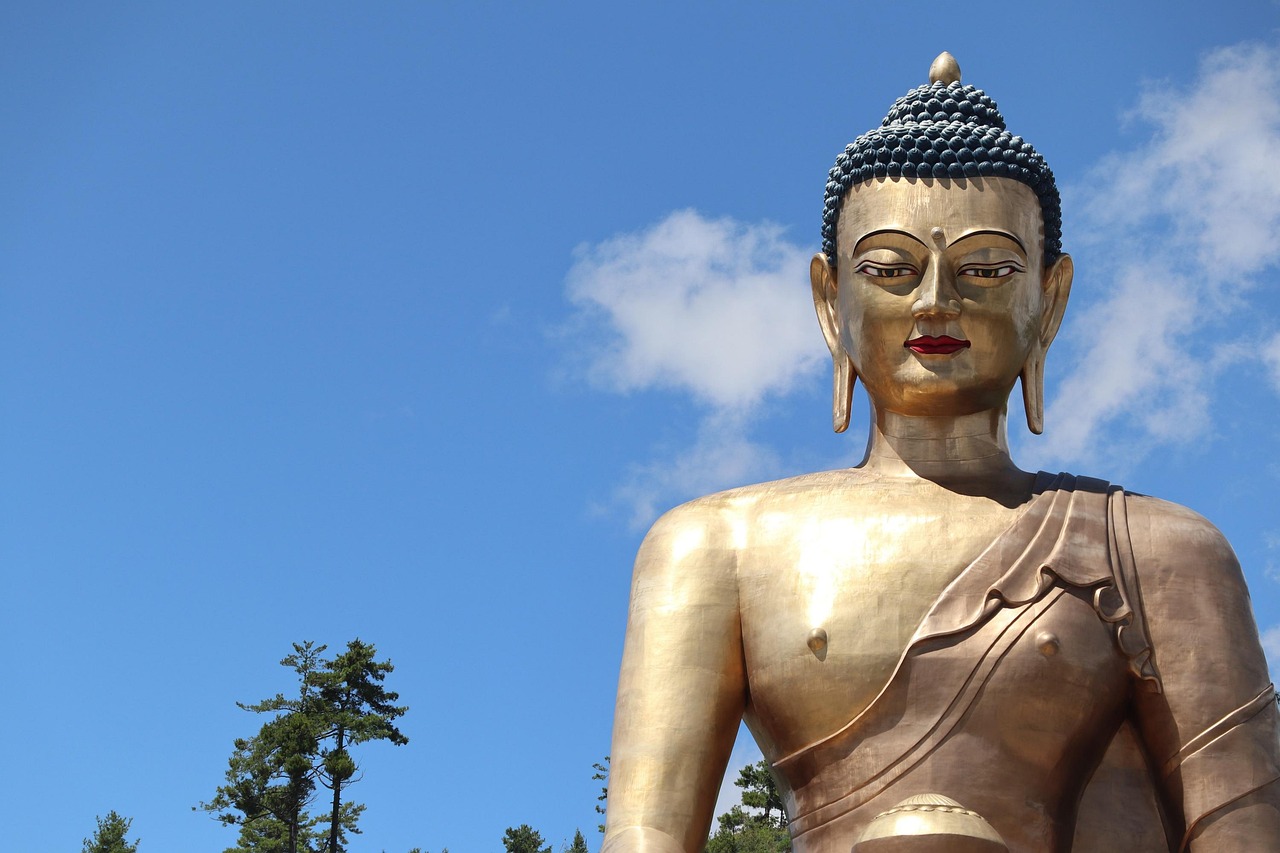 葉皓軒免費(fèi)全文閱讀最新，神秘未知世界的探險(xiǎn)之旅