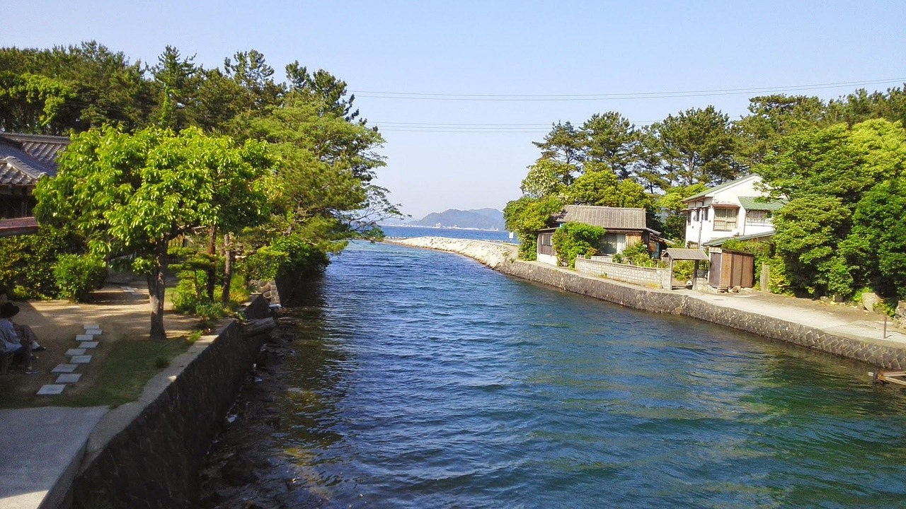 日本海最新動態(tài)，探索、發(fā)現(xiàn)與未來展望