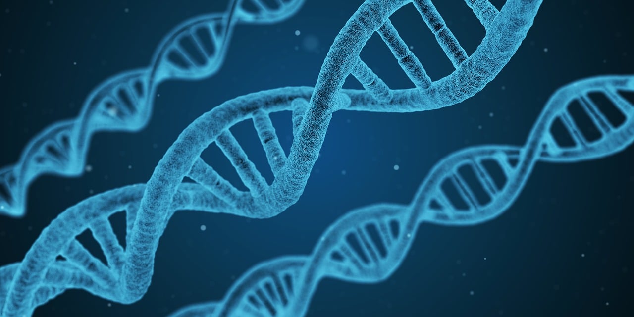 鐘南山最新疫情研究，科學(xué)應(yīng)對(duì)，共克時(shí)艱