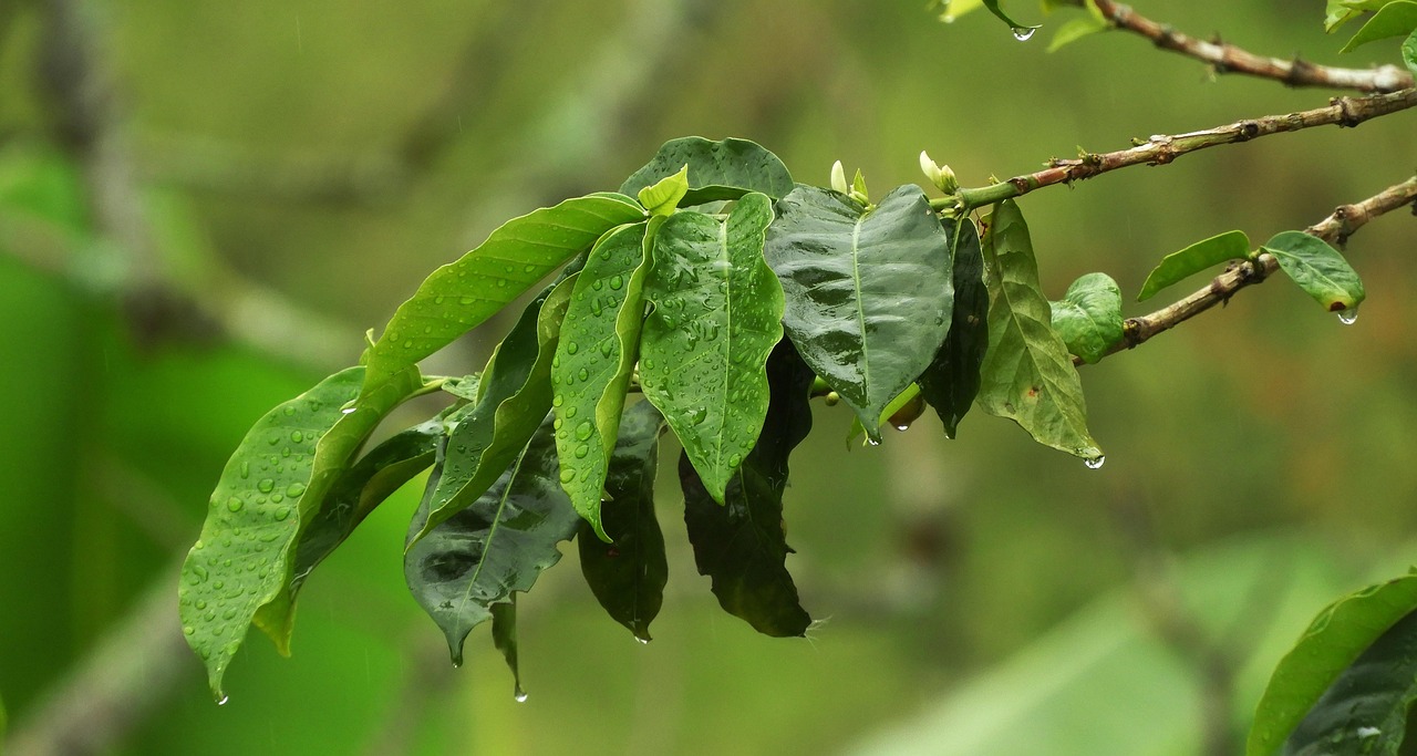 宋雨琦與葉舒華最新動(dòng)態(tài)及成長(zhǎng)軌跡揭秘