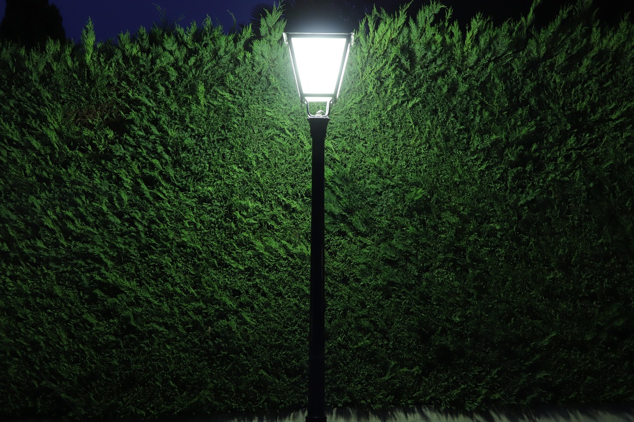 社區(qū)電商最新動態(tài)，重塑零售格局的新力量源泉