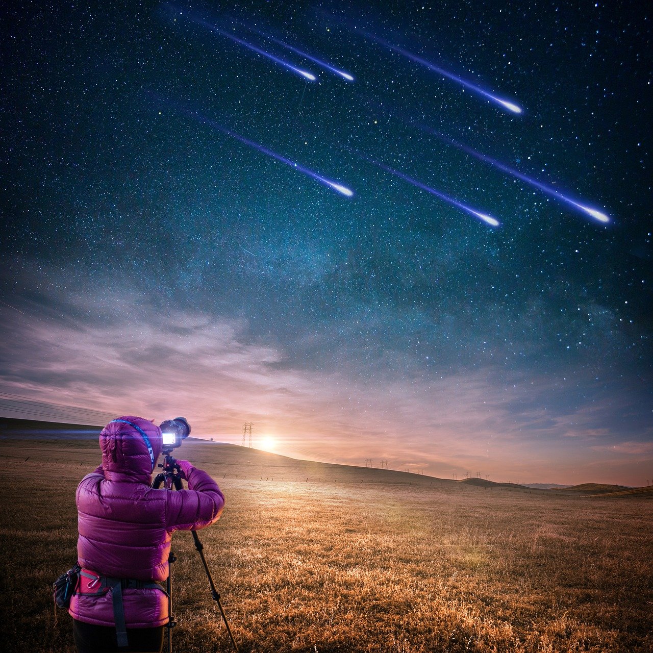 純情大明星，星光下的純真綻放最新章節(jié)更新速遞