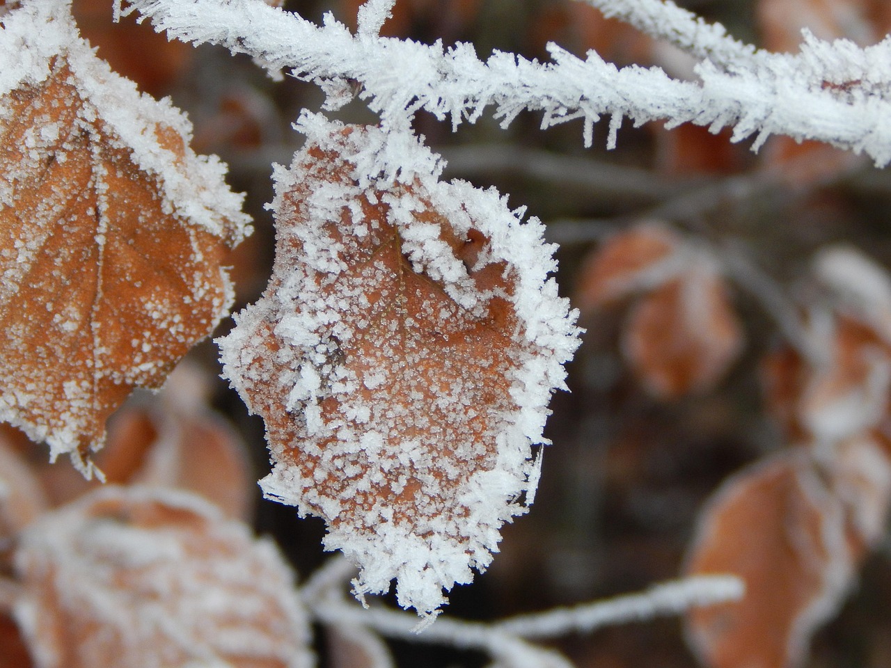 江蘇徐州下雪最新消息，冬日驚喜突然降臨